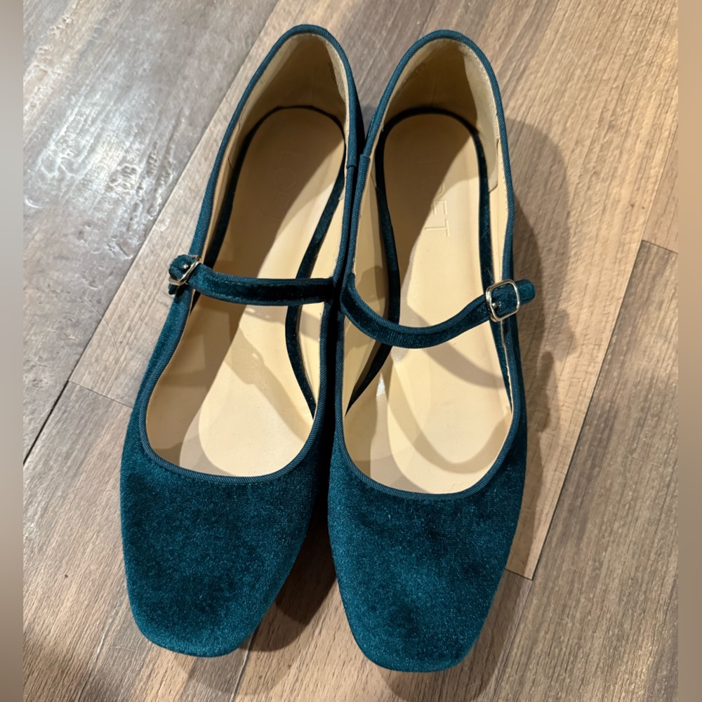 NWOT Velvet Mary Jane Ballet Flats
